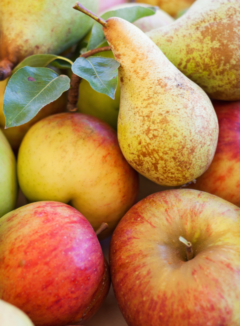 Äpfel und Birnen